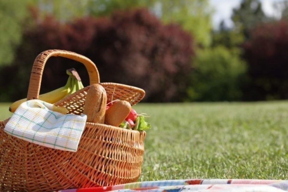Pic-nic  avant  Feu d'artifices du chateau