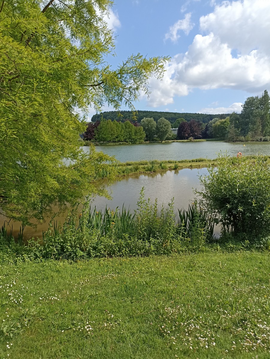 Pique Nique à MONTVILLE