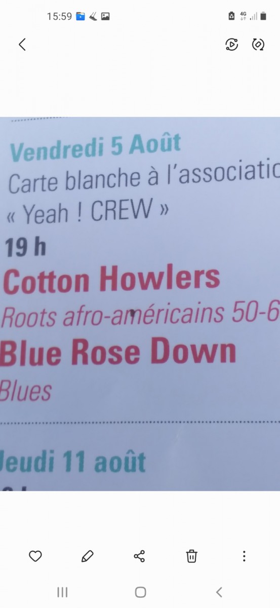 Concert COTTON HOWLERS     BLUE ROSE DOWN
