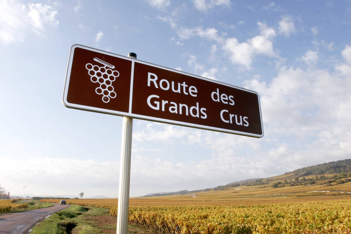 La Route des Grands Crus .