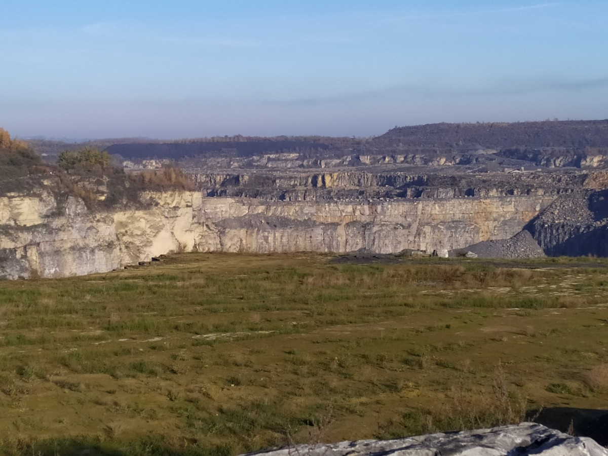 marche au vignoble