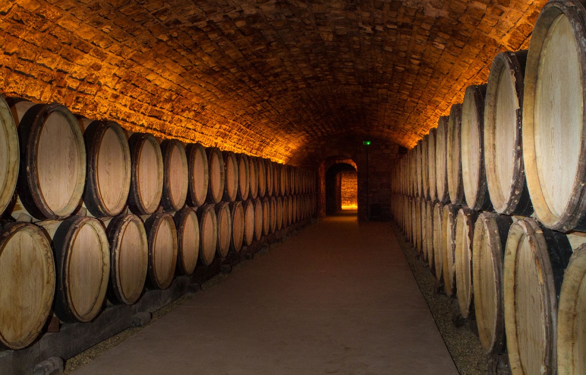 Visite dégustation grande cave Vougeot