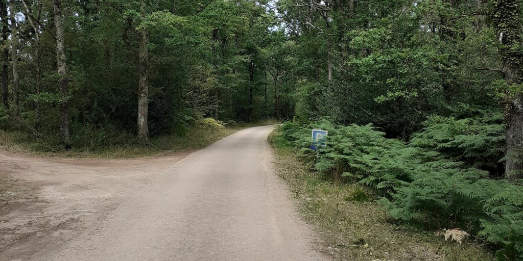 Balade nature qui se déroulera essentiellement en forêt entre Trèves et Cunault (49)