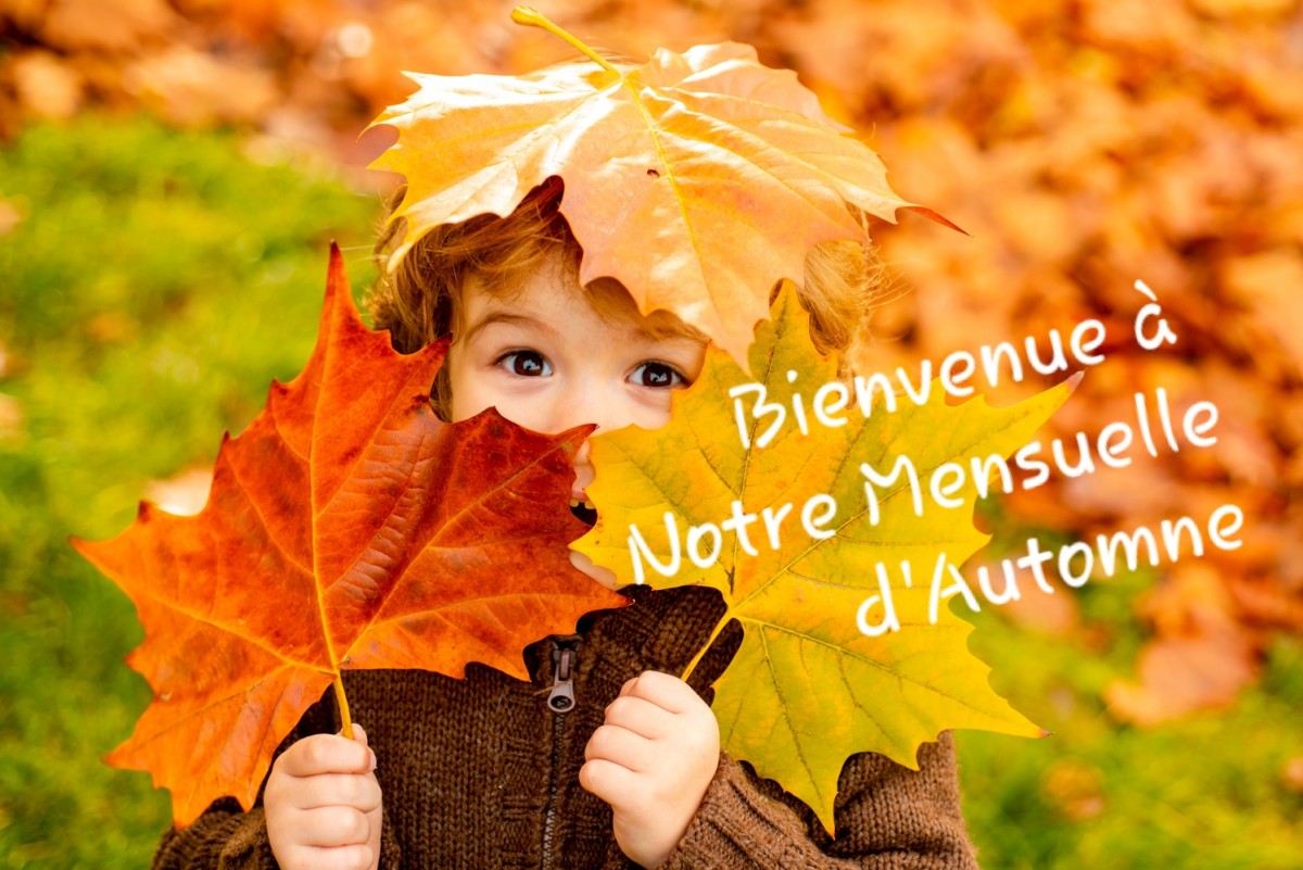 Mensuelle de Novembre
