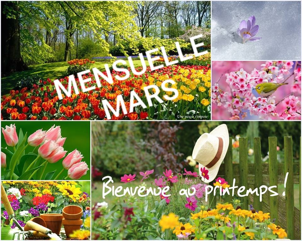 Mensuelle de Mars
