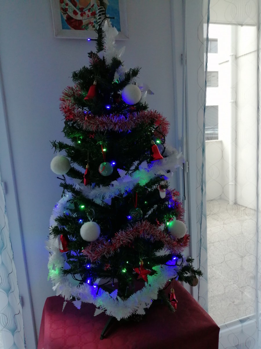 Auberge espagnole, repas arbre de Noel