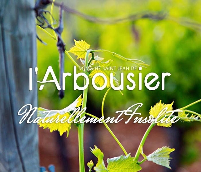 Journée conviviale !  au domaine St Jean l'Arbousier