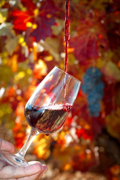 Soirée Beaujolais Nouveau : RESTE 2 PLACES