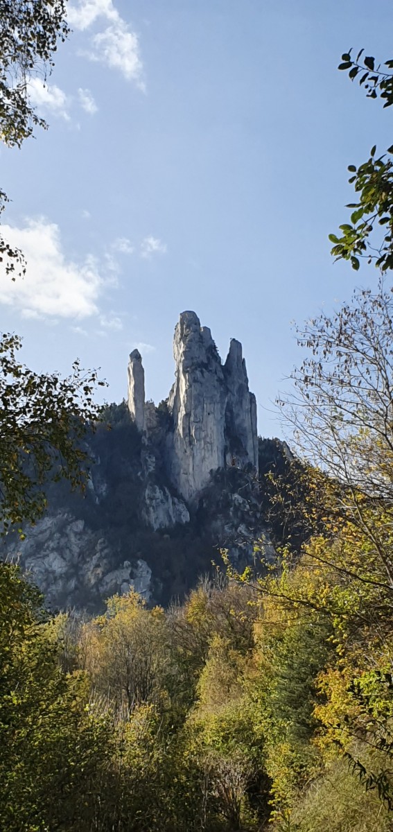 L' ANCIENNE VOIE du  TRAMWAY