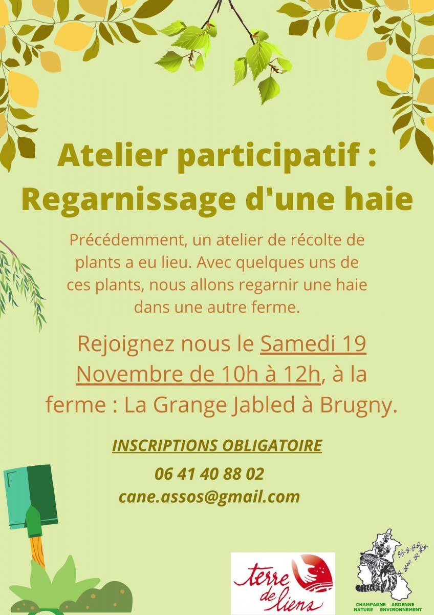 Atelier participatif : Regarnissage d'une haie
