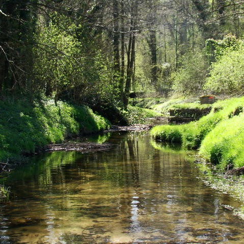 Balade sur les bords de l'yvette