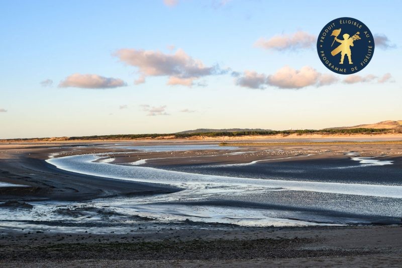 Visite guidée - La baie de Canche