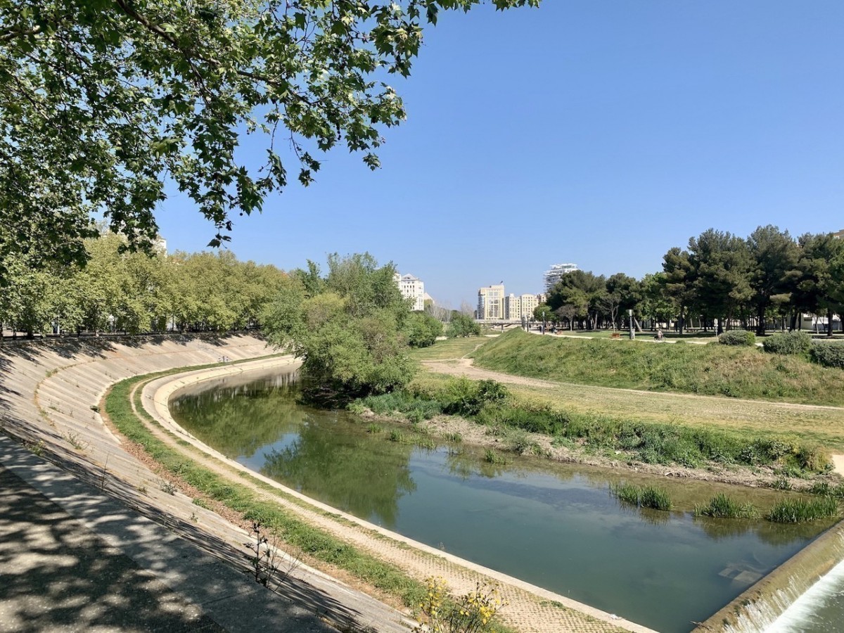 Ballade au bord du Lez