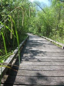 Réserve Naturelle de la Baie de Canche - Géologie et biodiversité