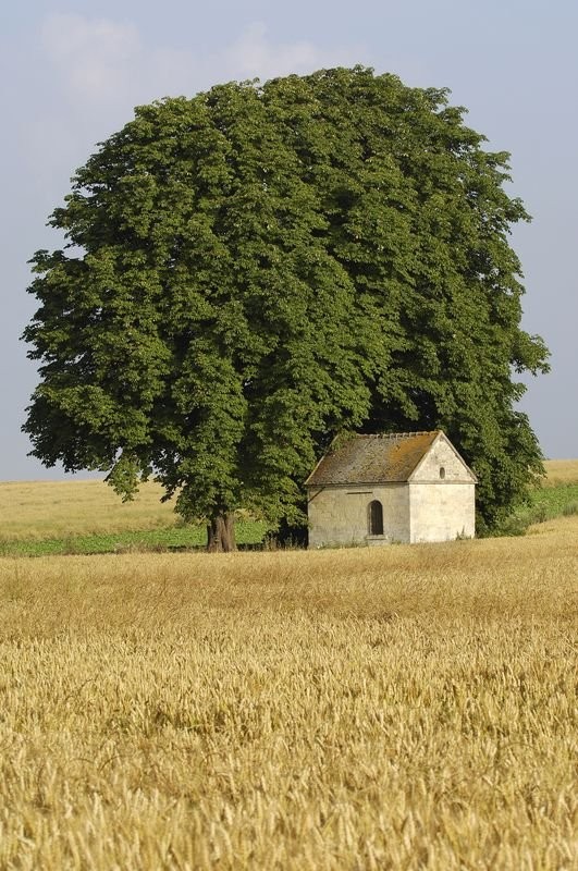 rando de16 km a l'est du Vexin