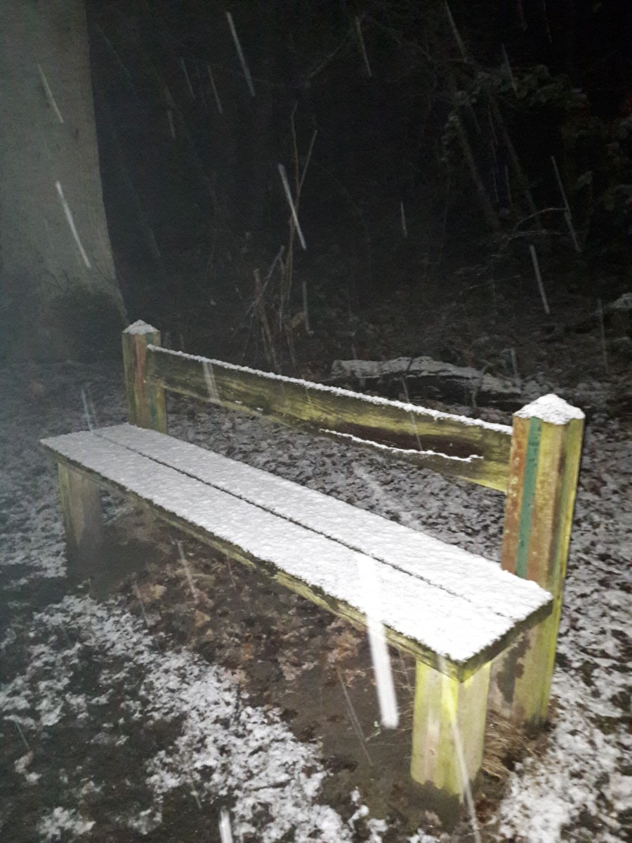 Marche Bois de St Cucufa