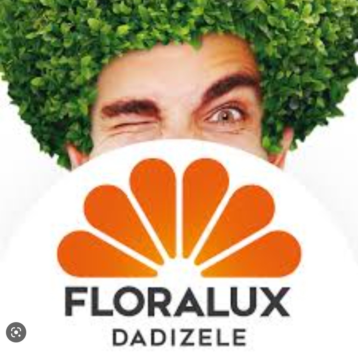 Sortie à floralux grand magasin de plantes et décorations