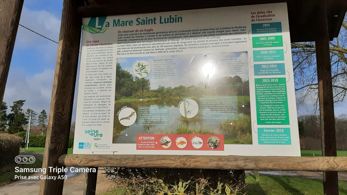 Circuit de la Mare St Lubin à Louviers