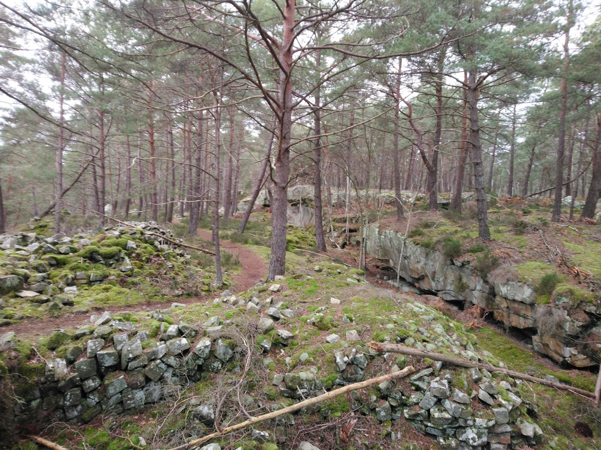 RANDO FONTAINEBLEAU