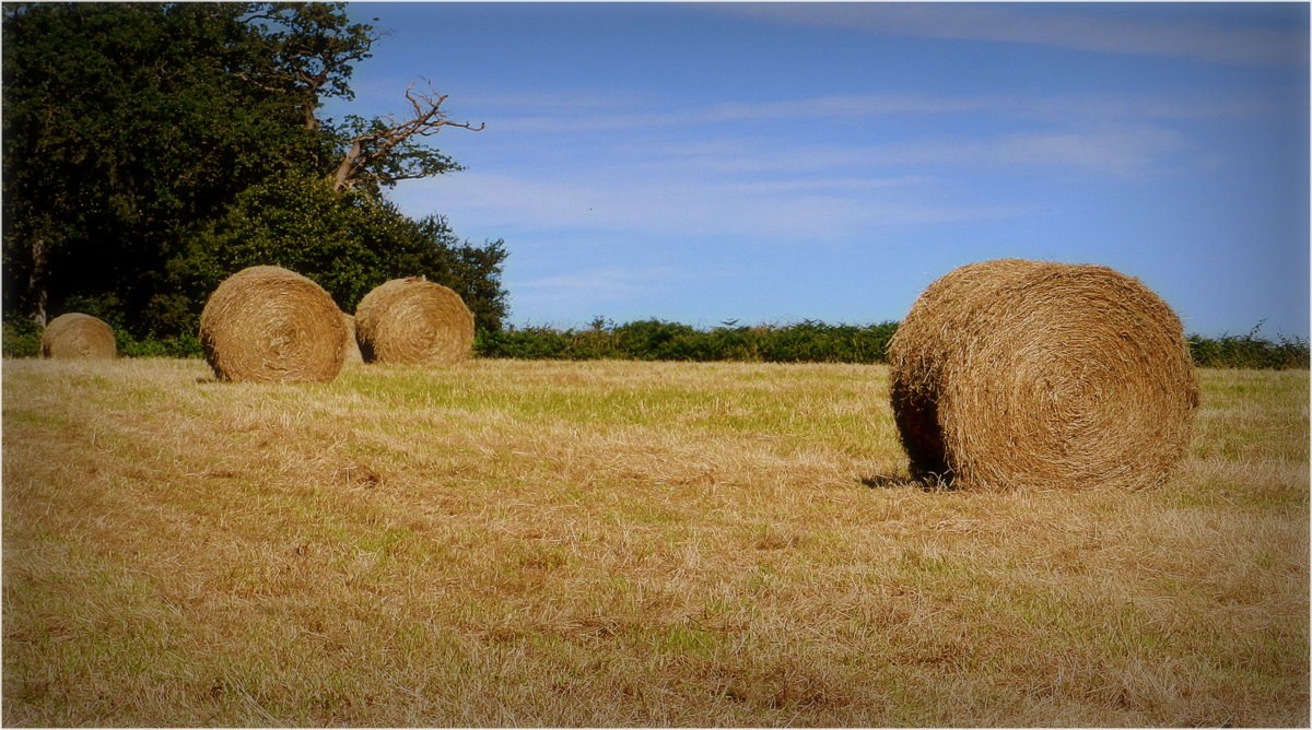 multi activits a la campagne