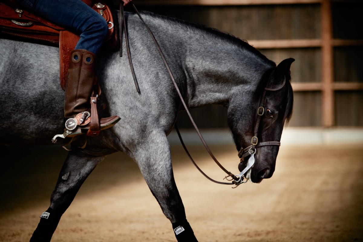 Resto BO RANCH avec l'vnement reining