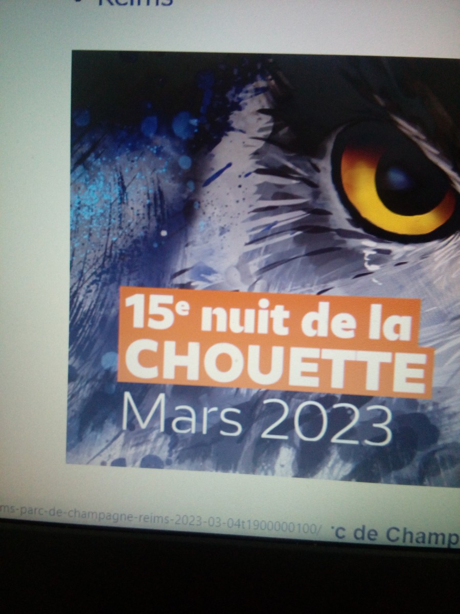 Nuit de la Chouette