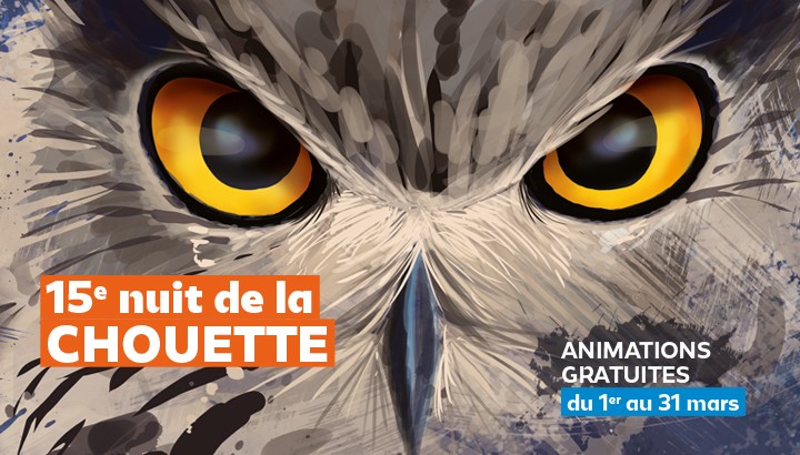 NUIT DE LA CHOUETTE (JARGEAU)