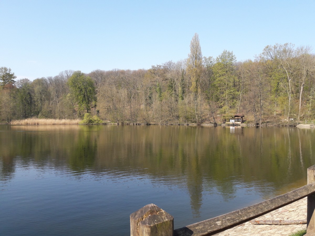 Marche 5,5 km/h Bois de St Cucufa