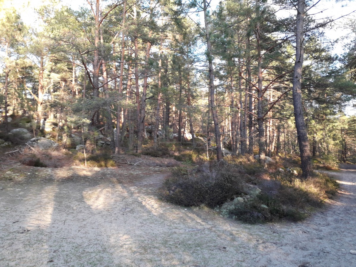 Au sud de la forêt des Trois Pignons