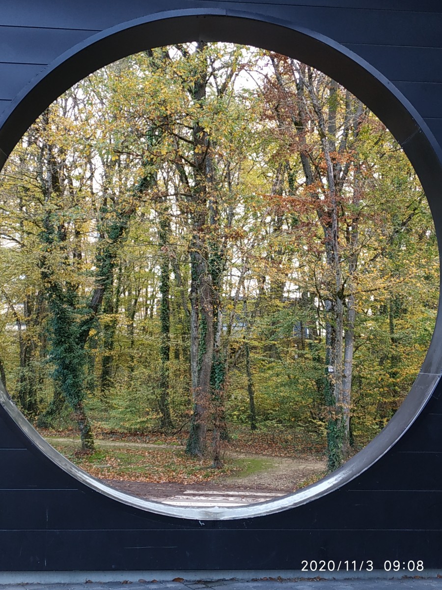 Marche à Amnéville