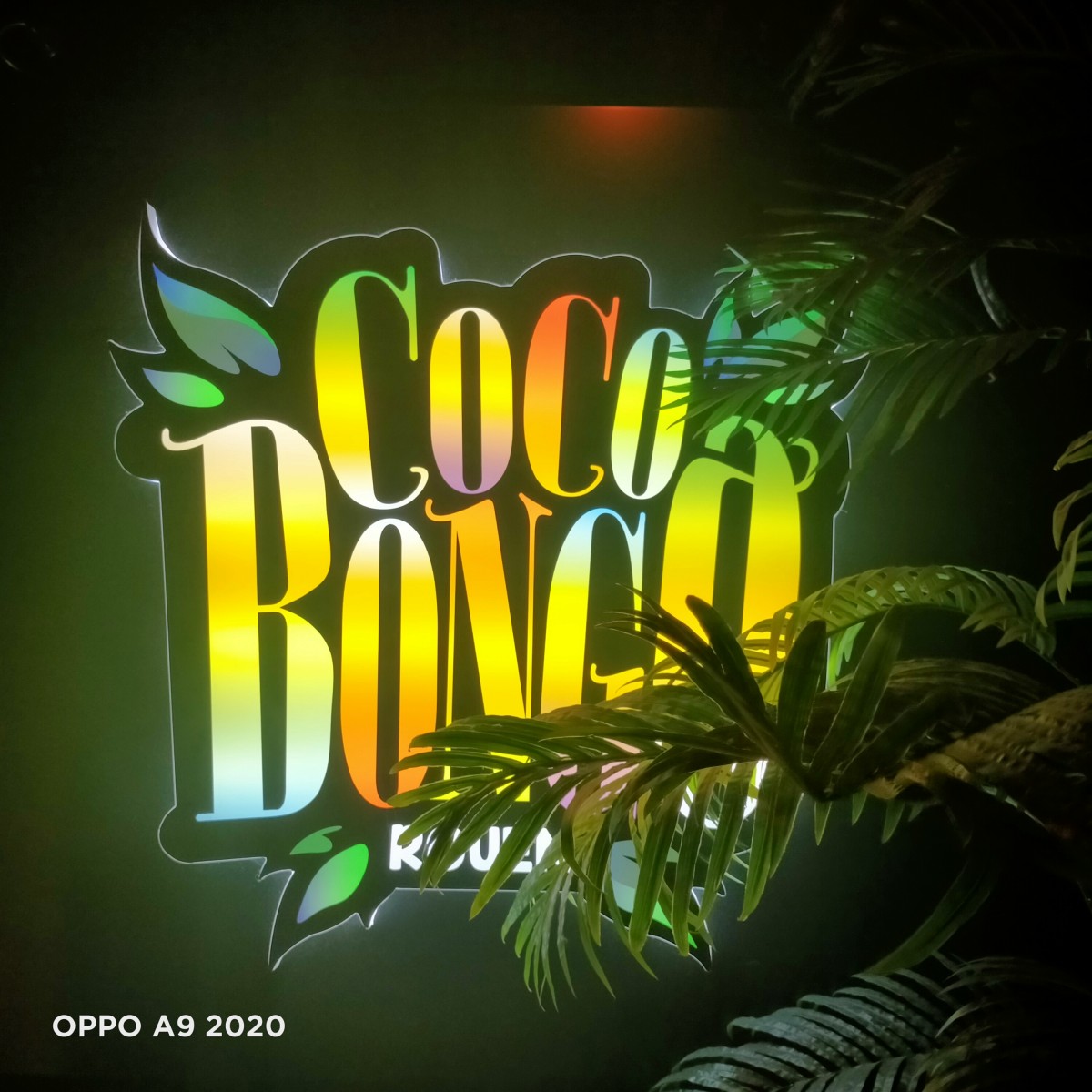 DIRTY DANCING  AU COCO  BONGO