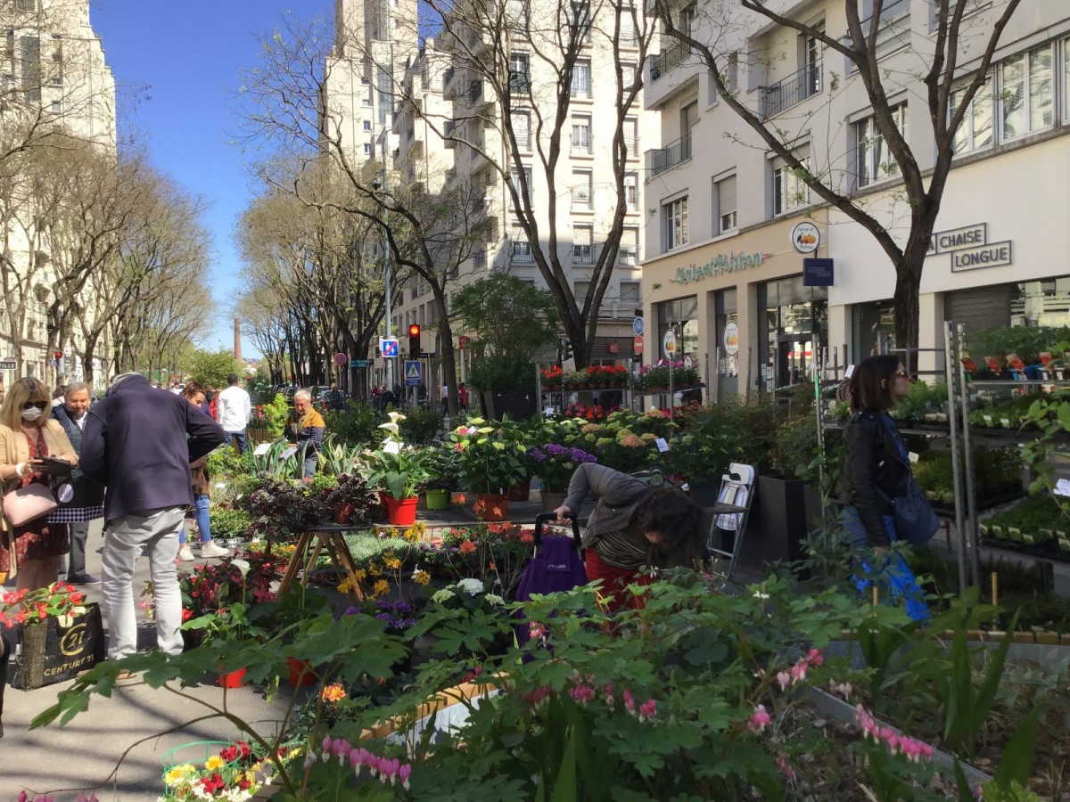 Marché aux plantes