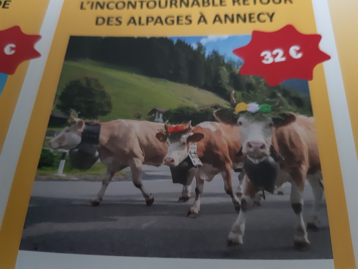 RETOUR DES ALPAGES A ANNECY