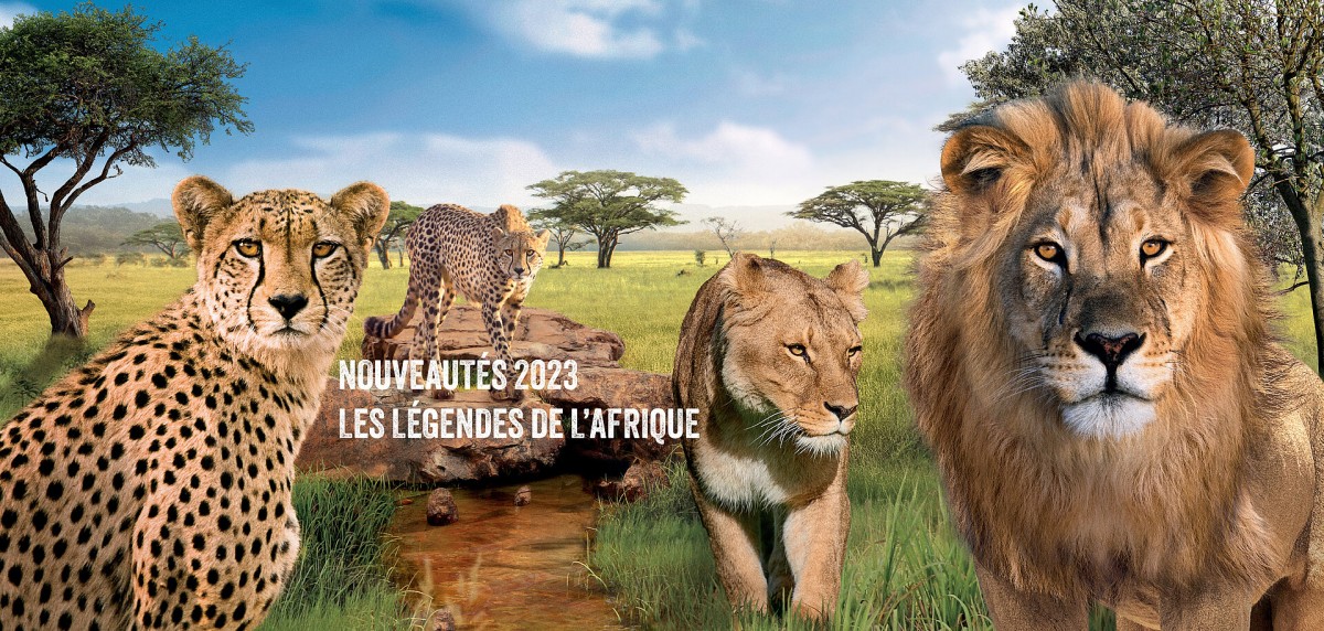 Journée au zoo de La Flèche
