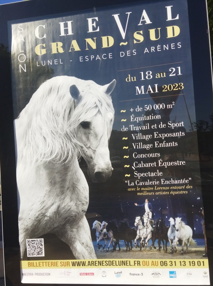 Salon du CHEVAL Grand Sud du 18 au 21