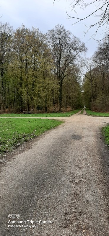 Découverte de la Forêt Domaniale de Bord Louviers