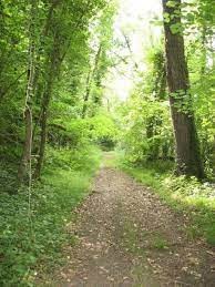 Le tour du bois de La Ferrire