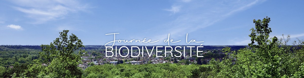 Journée internationale de la biodiversité