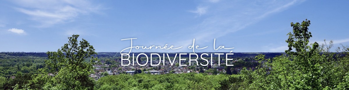 Journe internationale de la biodiversit