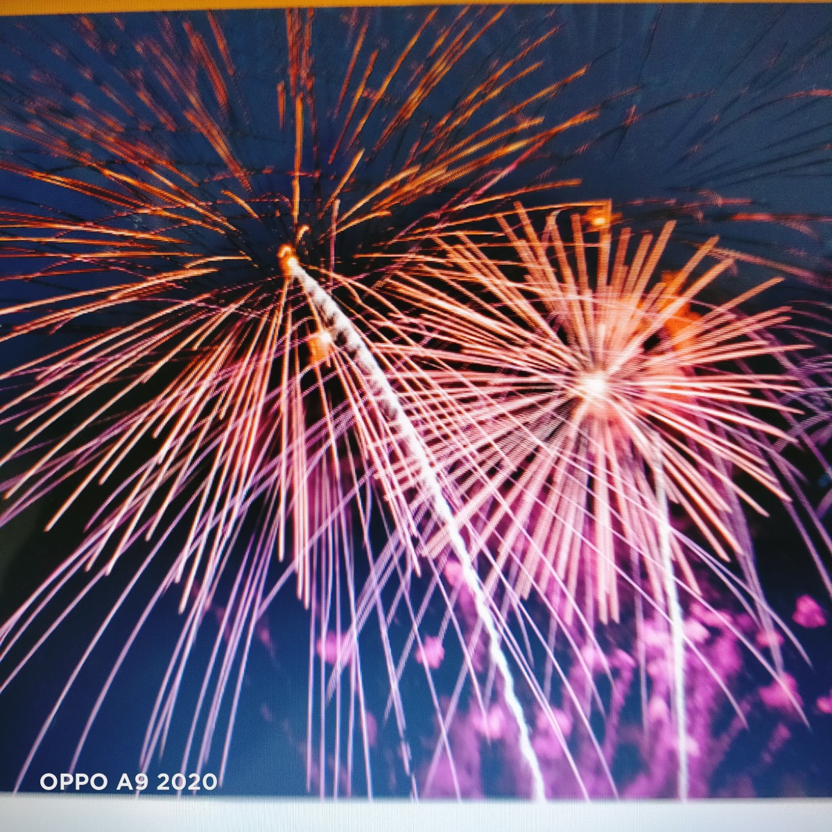 Festival Animaijuin  Concert  Feu d'artifice