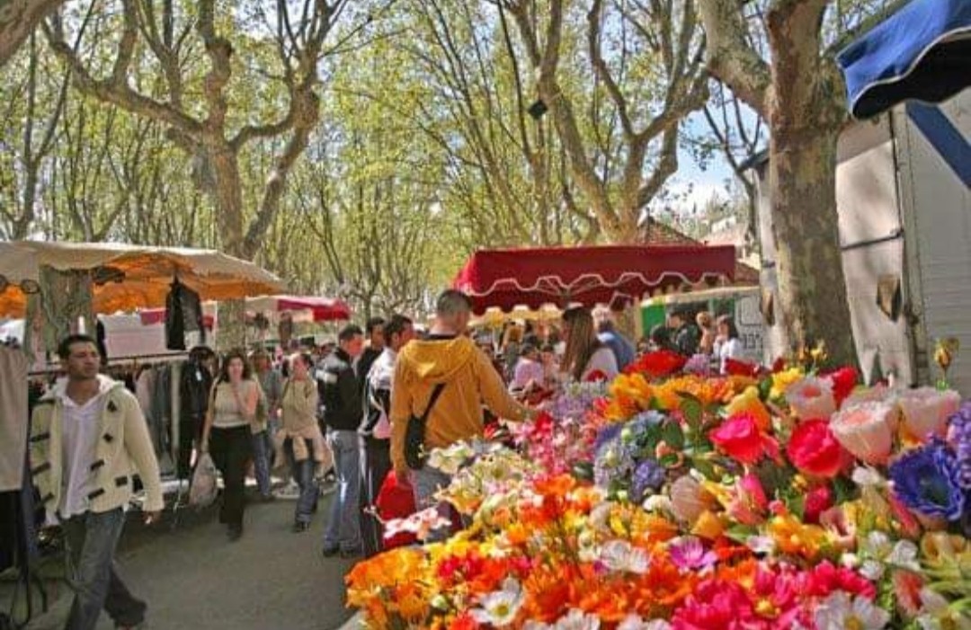 Grand MARCHÉ+bestiaux+auberge espagnole