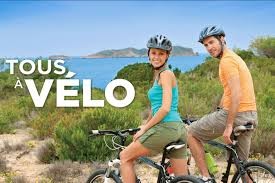 Vélo  /  Pic  nic