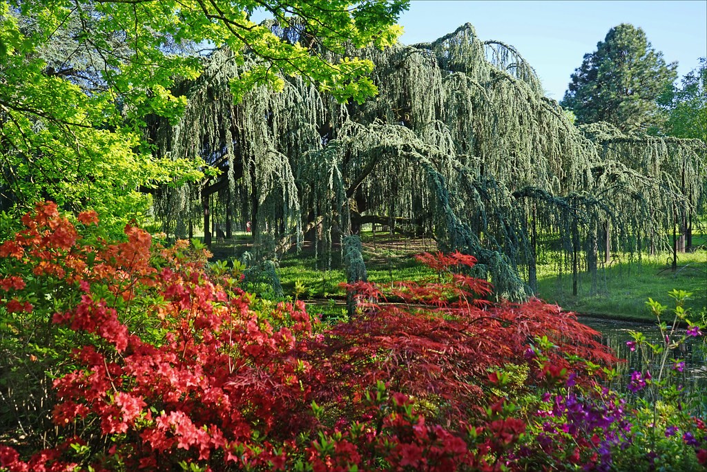 Balade bucolique  l arboretum de Chatenay malabry