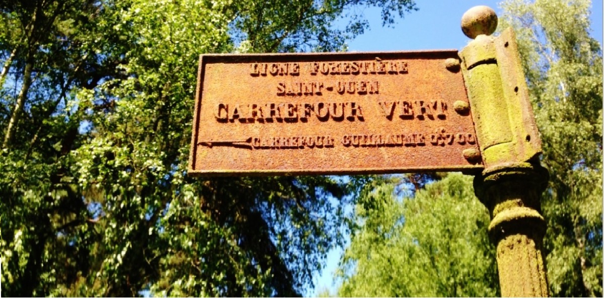 Marche forêt de Montigny