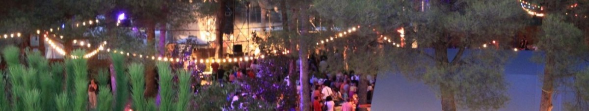 O' Millésime-Vin-Tapas-Musique