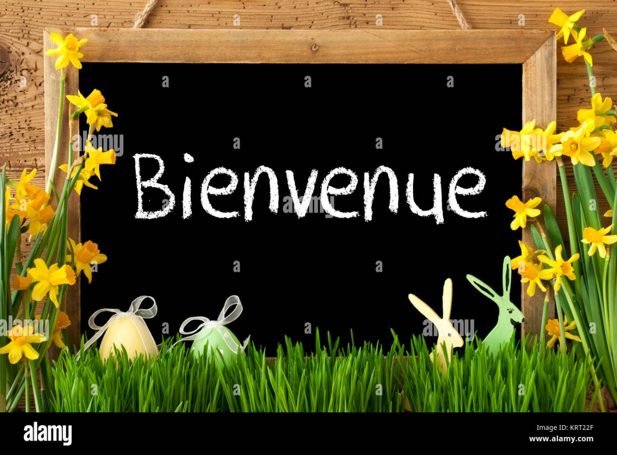 Dcouverte de l'Association des Solos