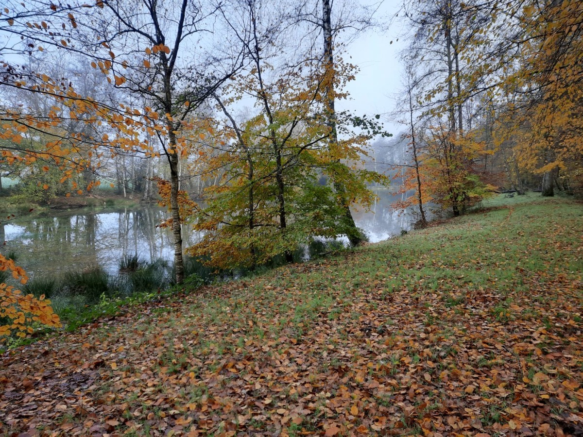 Rando restau Senonches