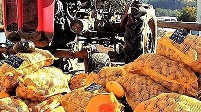 Soirée patates