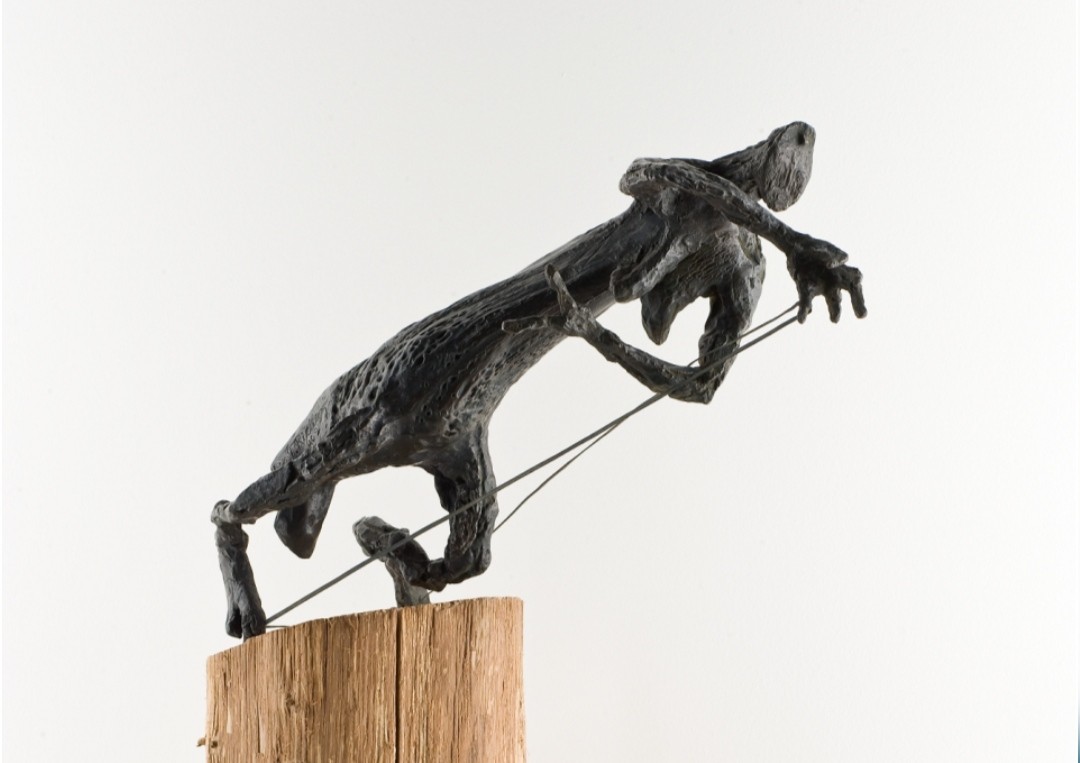 EXPO musée FABRE visite guidée