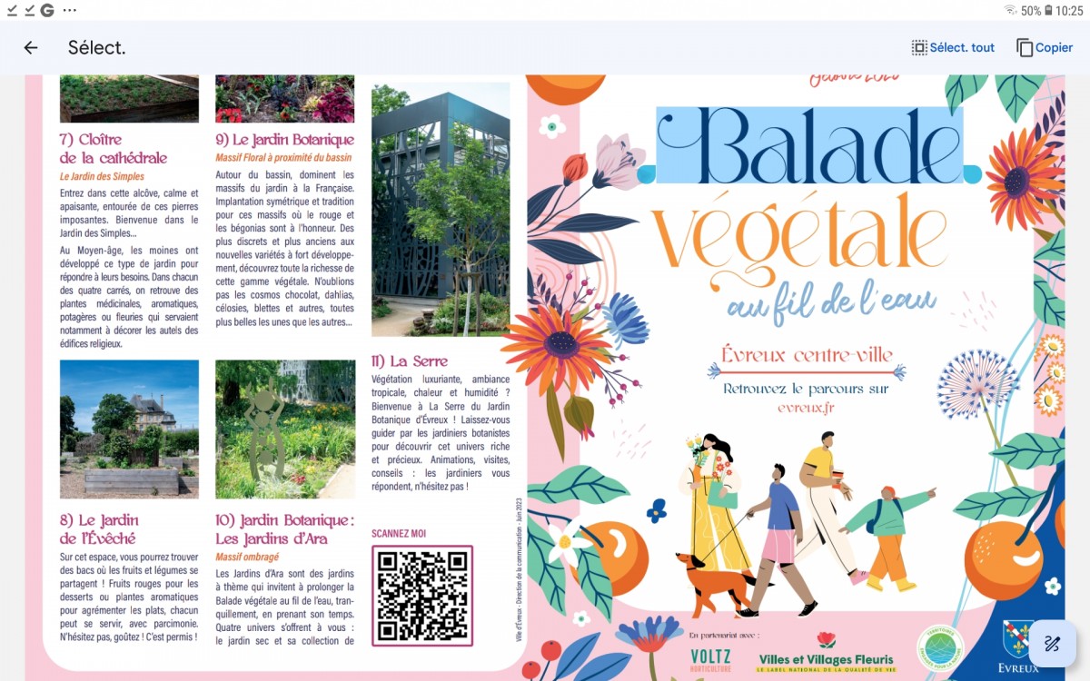Balade vegetale au fil de l'eau